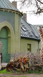 tierpark hellabrunn