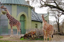 tierpark hellabrunn